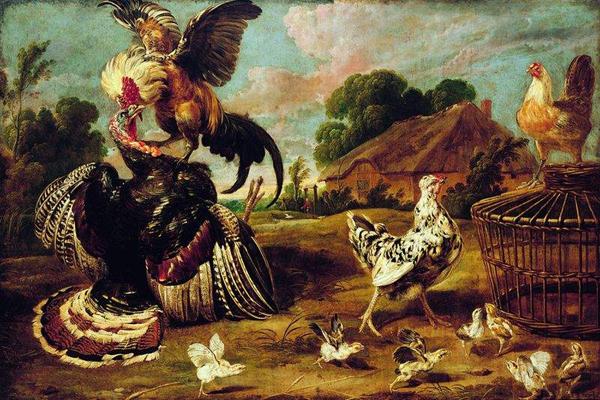 Paul de Vos The fight between a turkey and a rooster